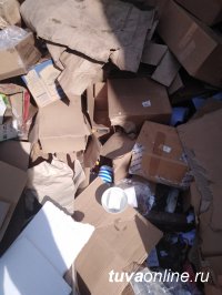 "Создателей" кучи мусора в центре Кызыла оштрафуют