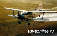 В Ергаках обнаружены обломки самолета, летевшего 68 лет назад из Кызыла в Абакан