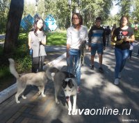 В посёлке Каа-Хем состоится девятая республиканская выставка собак охотничьих пород