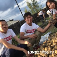 "Добрые сердца Тувы" помогли вдове фронтовика выкопать картошку