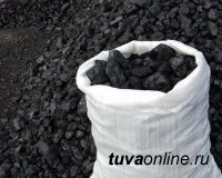В Туве начался завоз бесплатного угля многодетным семьям