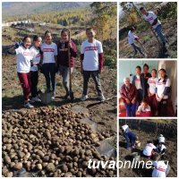 "Добрые Сердца Тувы" помогли пенсионерке в Чеди-Хольском кожууне вскопать картошку