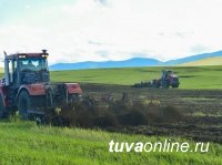 В Туве утвердили перечень сельхозугодий, не подлежащих для использования в других целях