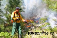 В Туве подвели итоги пожароопасного сезона