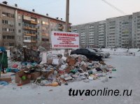 В Кызыле оштрафовали предпринимателей, развернувших несанкционированные свалки на контейнерных площадках жилых кварталов