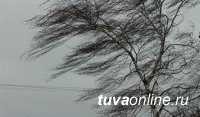 В Туве 24 марта объявлено штормовое предупреждение