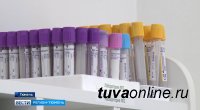В Туве на 22 апреля имеются 14 инфицированных COVID-19