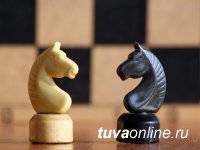 В Туве 9 мая проведут интернет-турнир по шахматам