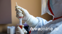 Тува заняла третье место по тестированию на коронавирус в СФО