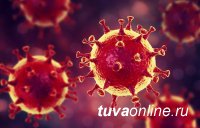 В Туве коронавирусом чаще всего заражаются в семьях