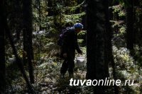 В Туве заблудились в лесу две женщины. Одну нашли. Поиски второй продолжаются
