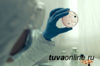 В двух районах Тувы выявлены очаги распространения чумы
