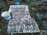 В Туве браконьер заплатит 55,5 тысяч рублей штрафа