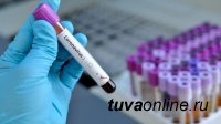 На 1 сентября в Туве выявили еще 21 больного с коронавирусом