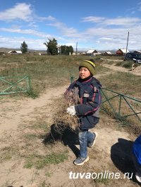 Кызылчан и кызылских предпринимателей призывают ко Дню города убрать и украсить дворы и фасады зданий