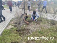 КЫЗЫЛ. Ко Дню рождения города горожане посадят 1000 деревьев