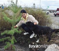 В Туве ко Дню города Кызыла автоинспекторы вместе с четвероногим коллегой посадили деревья