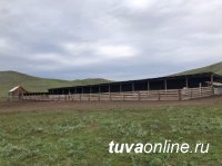 В Туве завершают строительство первых площадок для откорма овец