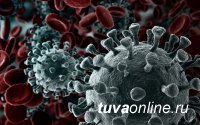 В Туве на 26 сентября выявили 52 носителя коронавируса