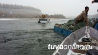 В Тоджинском районе Тувы спасатели ведут поиски без вести пропавшего на реке мужчины