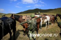 Лошади монгольской породы привезли оружие и боеприпасы горным стрелкам в Туве