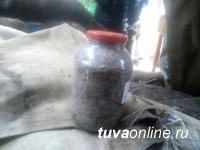 На чабанской стоянке полицейские Тувы обнаружили 2-литровую банку наркотиков