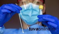 Тува. За сутки на 11 ноября выявлено 97 новых случаев инфицирования COVID-19