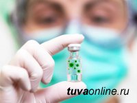 В Туве на 3 декабря новый вирус поразил 93 человека