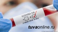 В Туве на 23 декабря от коронавируса вылечили 104 человека