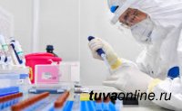 В Туве на 27 декабря выявили рекордно низкое число заболевших COVID-19