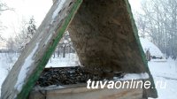 Тува: Одна кормушка может спасти за зиму до 50 птиц