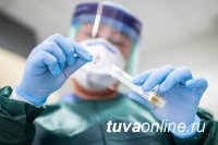 В Туве к 14 января новых инфицированных выявили лишь в 4 муниципалитетах