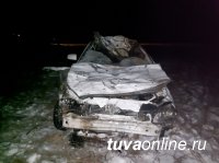 В Туве водитель легковушки погиб, столкнувшись с лошадьми