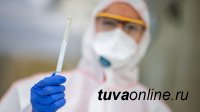 В Туве ко 2 февраля выявили 4 инфицированных COVID-19