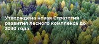 Правительство Российской Федерации утвердило Стратегию развития лесного комплекса до 2030 года