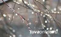 В Туве 18 апреля местами ожидается мокрый снег