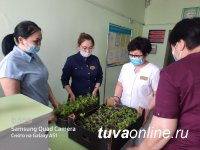 Медсестры Тувы подарили 250 цветочных рассад Детскому дому в свой профессиональный прзадник 
