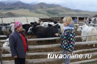 Тува. Сенатор Дина Оюн побывала в приграничном с Монголией монгунтайгинском кожууне