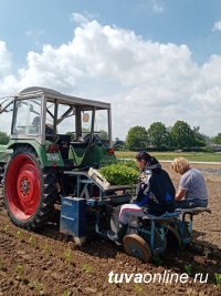 Студенты сельхозфакультета ТувГУ проходят стажировку в Германии