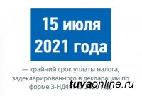 По декларациям 3-НДФЛ в бюджет Тувы до 15 июля должны поступить от граждан 42 млн. рублей