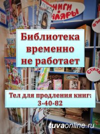 Работа детской библиотеки в Кызыле приостановлена