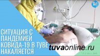 В Туве за двое суток ежедневный прирост заболевания ковид вырос с 130 до 190 случаев!