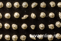 Археологи два года назад нашли в Туве женское захоронение с золотыми артефактами