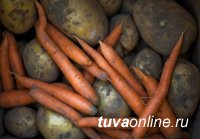 В июле цены на овощи и тарифы на электроэнергию замедлили годовую инфляцию в Туве