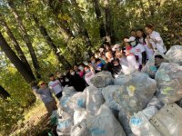 «На 100 мусорных пакетов меньше»: неравнодушные активисты убрали берег Тонмас-Суг