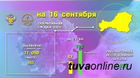 Эпидситуация по коронавирусу в Туве  за 15 сентября - 61 новый случай 