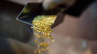 Аукцион по участку золота в Туве за 31 млн руб не состоялся из-за отсутствия участников