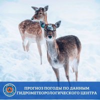 12 января в Туве ожидается мороз до -40°C