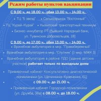 В Кызыле работают восемь пунктов вакцинации