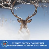 В ночь на 17 февраля в Туве ожидается морозная погода до -35°С